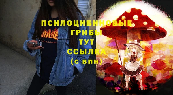 ALPHA PVP Сосновый Бор