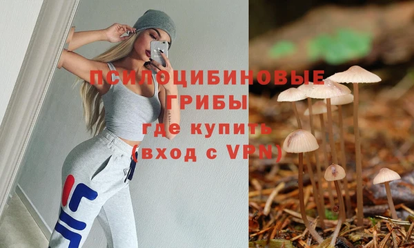 ALPHA PVP Сосновый Бор
