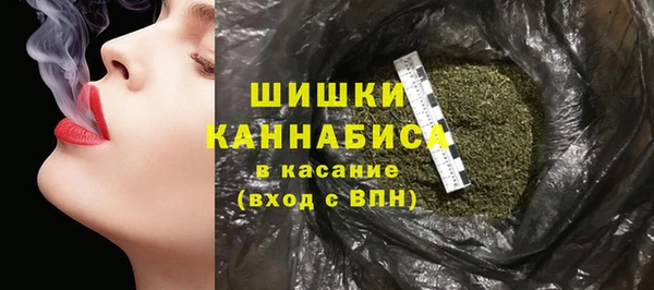 сатива Медногорск